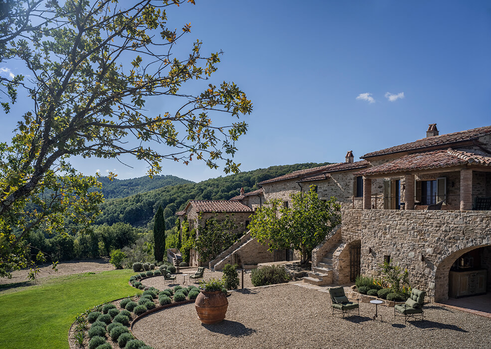 Cercoschene horizontal 2021 1